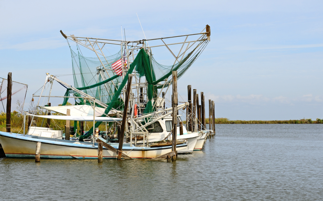 Rep. Clay Higgins announces USDA to purchase $25 million in gulf shrimp