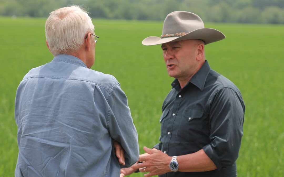 Higgins Issues Statement on U.S. – China Rice Agreement