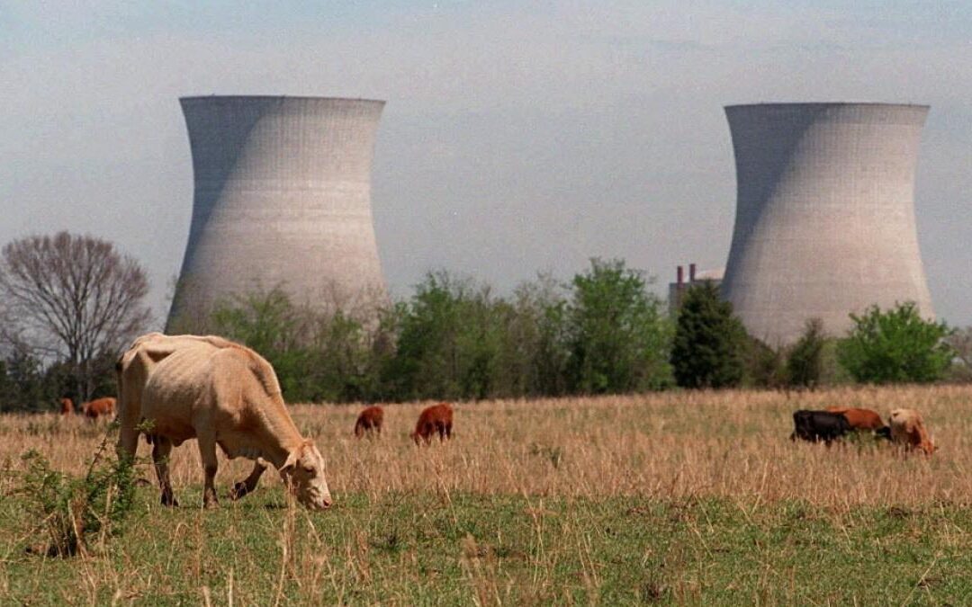 Congressman Higgins Introduces Bill Promoting Nuclear Energy