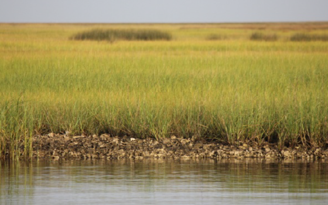 Higgins Discusses Southwest Coastal Louisiana Project with Chenier Plain Coastal Restoration & Protection Authority, CPRA