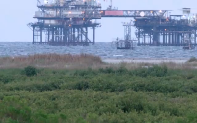 Higgins Supports $203M in GOMESA Revenue for Louisiana