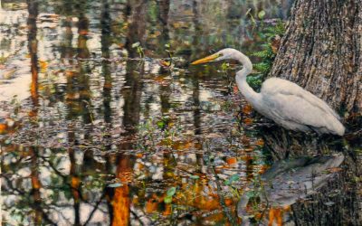 Higgins, Landry Recommend New Orleans as USDA Regional Hub